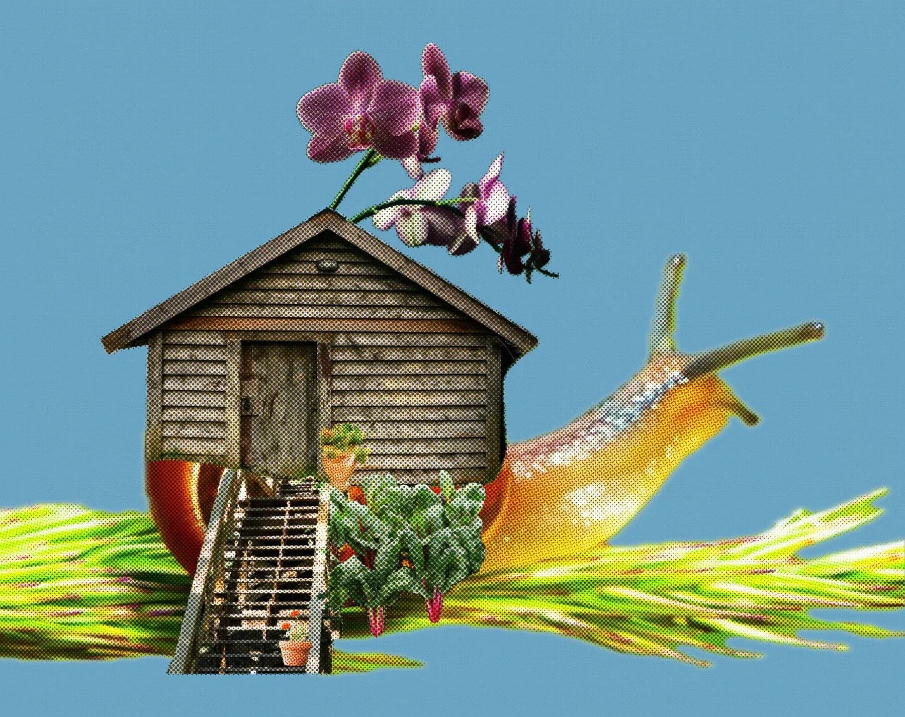 A garden shed riding on the back of a giant snail through tall grass, with an orchid growing from the roof